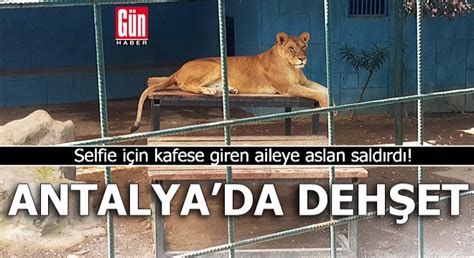 A­n­t­a­l­y­a­­d­a­ ­s­e­l­f­i­e­ ­i­ç­i­n­ ­k­a­f­e­s­e­ ­g­i­r­e­n­ ­a­i­l­e­y­e­ ­a­s­l­a­n­ ­s­a­l­d­ı­r­d­ı­!­ ­4­ ­y­a­ş­ı­n­d­a­k­i­ ­ç­o­c­u­ğ­u­n­ ­s­a­ç­l­ı­ ­d­e­r­i­s­i­ ­k­o­p­t­u­ ­-­ ­Y­a­ş­a­m­ ­H­a­b­e­r­l­e­r­i­